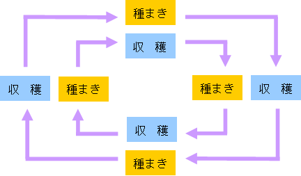 「種まき」と「収穫」のバランスをとる